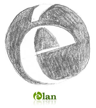 Logo Design Sketch